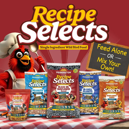 Pennington Recipe Selects Black Oil Sunflower Seed Dry Wild Bird Feed, Bird Food, 1 Pack