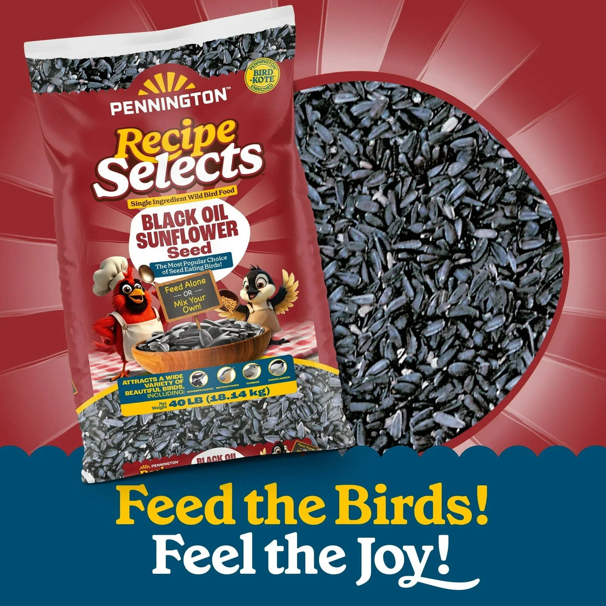 Pennington Recipe Selects Black Oil Sunflower Seed Dry Wild Bird Feed, Bird Food, 1 Pack