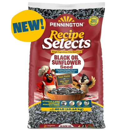 Pennington Recipe Selects Black Oil Sunflower Seed Dry Wild Bird Feed, Bird Food, 1 Pack