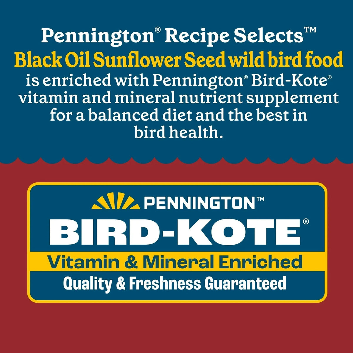 Pennington Recipe Selects Black Oil Sunflower Seed Dry Wild Bird Feed, Bird Food, 1 Pack