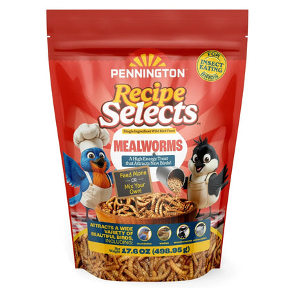 Pennington Recipe Selects Dried Mealworms for Birds, Bluebird and Wild Bird Food for Outside Feeder, 17.6 oz Bag, 1 Pack