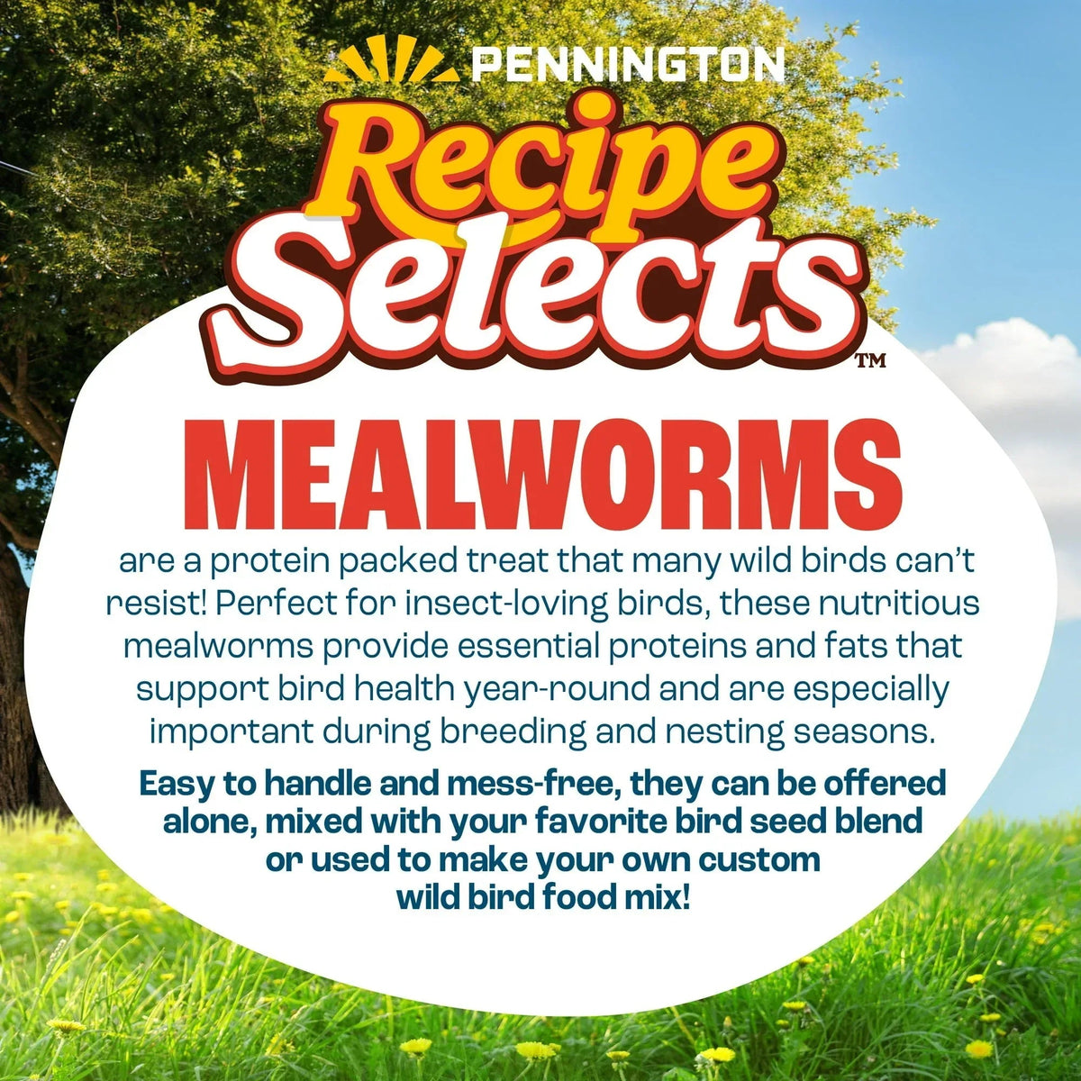 Pennington Recipe Selects Dried Mealworms for Birds, Bluebird and Wild Bird Food for Outside Feeder, 17.6 oz Bag, 1 Pack