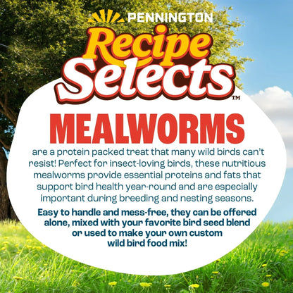 Pennington Recipe Selects Dried Mealworms for Birds, Bluebird and Wild Bird Food for Outside Feeder, 17.6 oz Bag, 1 Pack