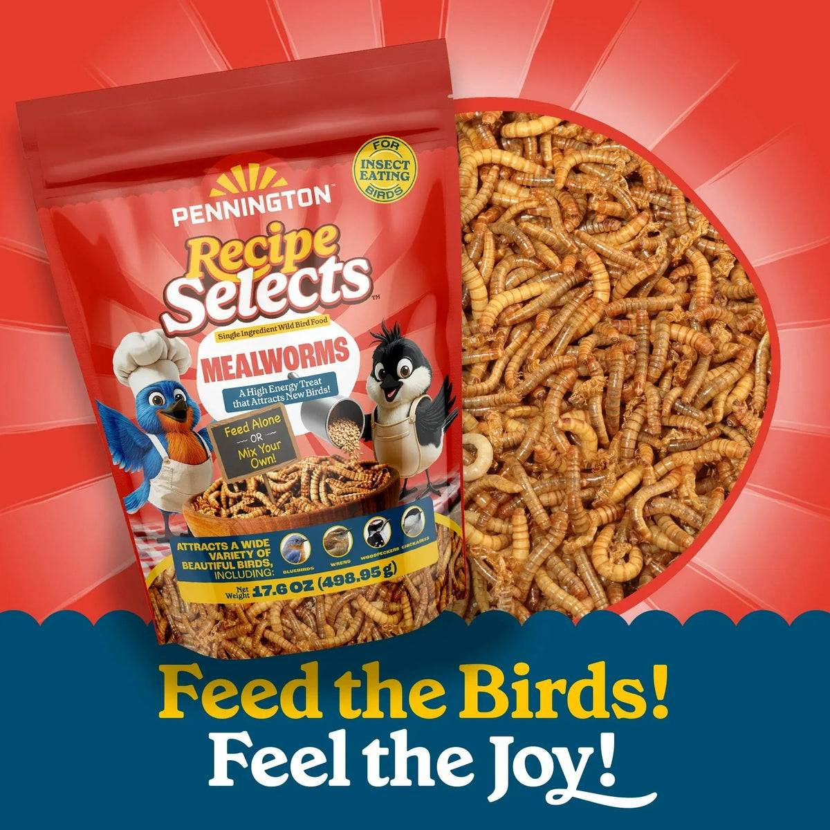 Pennington Recipe Selects Dried Mealworms for Birds, Bluebird and Wild Bird Food for Outside Feeder, 17.6 oz Bag, 1 Pack