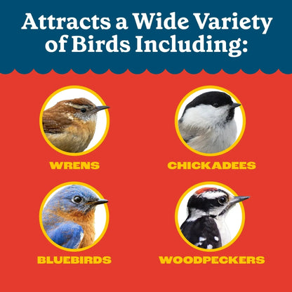 Pennington Recipe Selects Dried Mealworms for Birds, Bluebird and Wild Bird Food for Outside Feeder, 17.6 oz Bag, 1 Pack