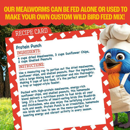 Pennington Recipe Selects Dried Mealworms for Birds, Bluebird and Wild Bird Food for Outside Feeder, 17.6 oz Bag, 1 Pack