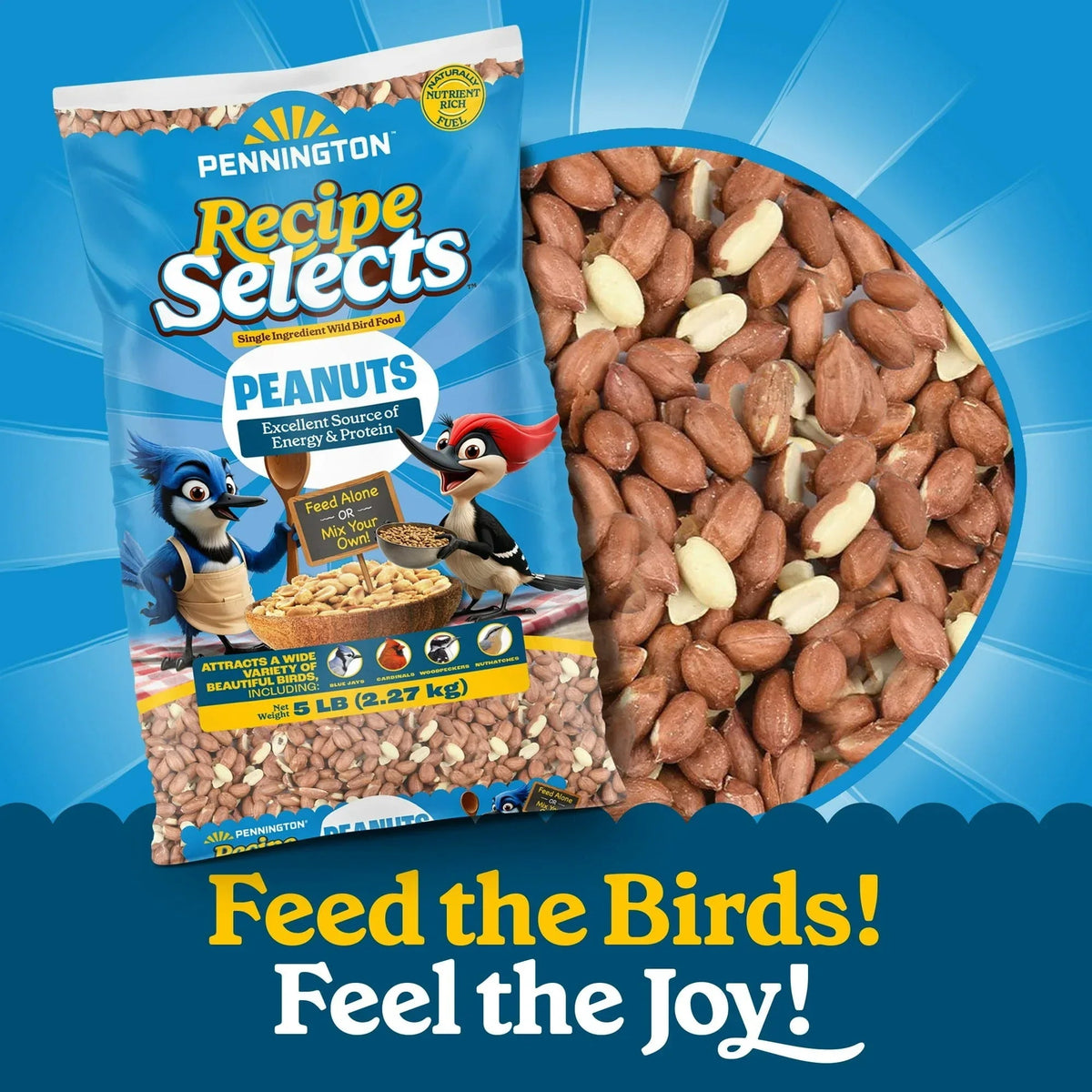 Pennington Recipe Selects Shell Free Whole Peanuts for Birds and Wildlife, Wild Bird Food, 5 lb Bag, Dry