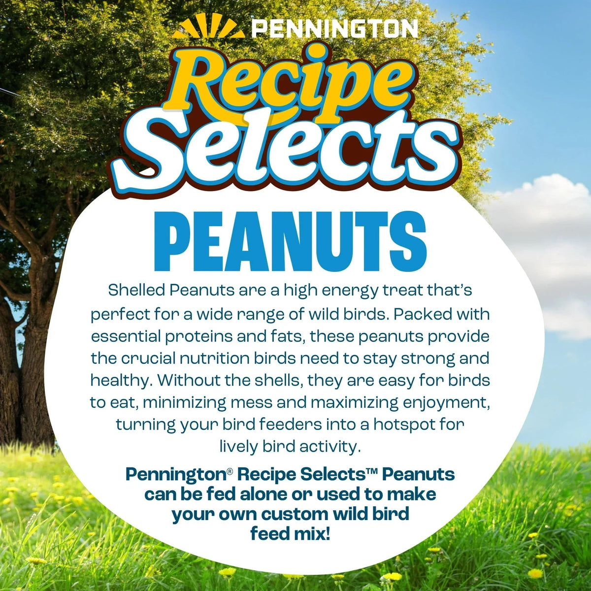 Pennington Recipe Selects Shell Free Whole Peanuts for Birds and Wildlife, Wild Bird Food, 5 lb Bag, Dry
