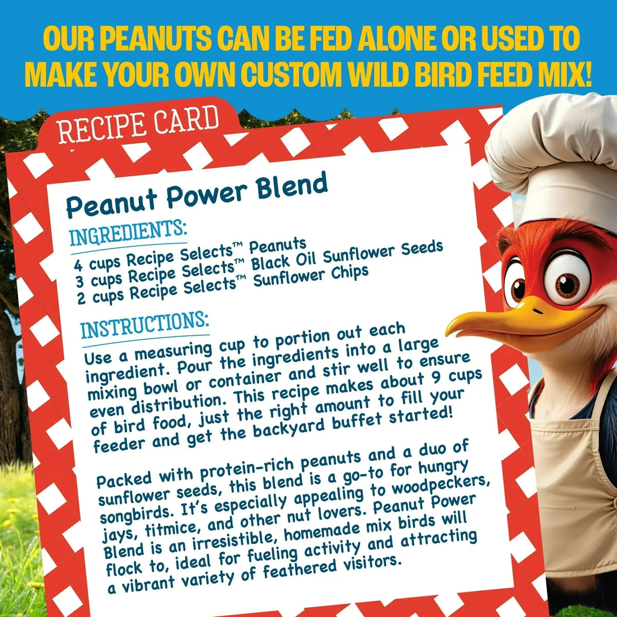 Pennington Recipe Selects Shell Free Whole Peanuts for Birds and Wildlife, Wild Bird Food, 5 lb Bag, Dry