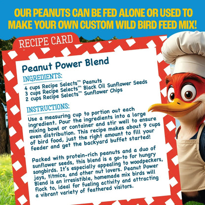 Pennington Recipe Selects Shell Free Whole Peanuts for Birds and Wildlife, Wild Bird Food, 5 lb Bag, Dry
