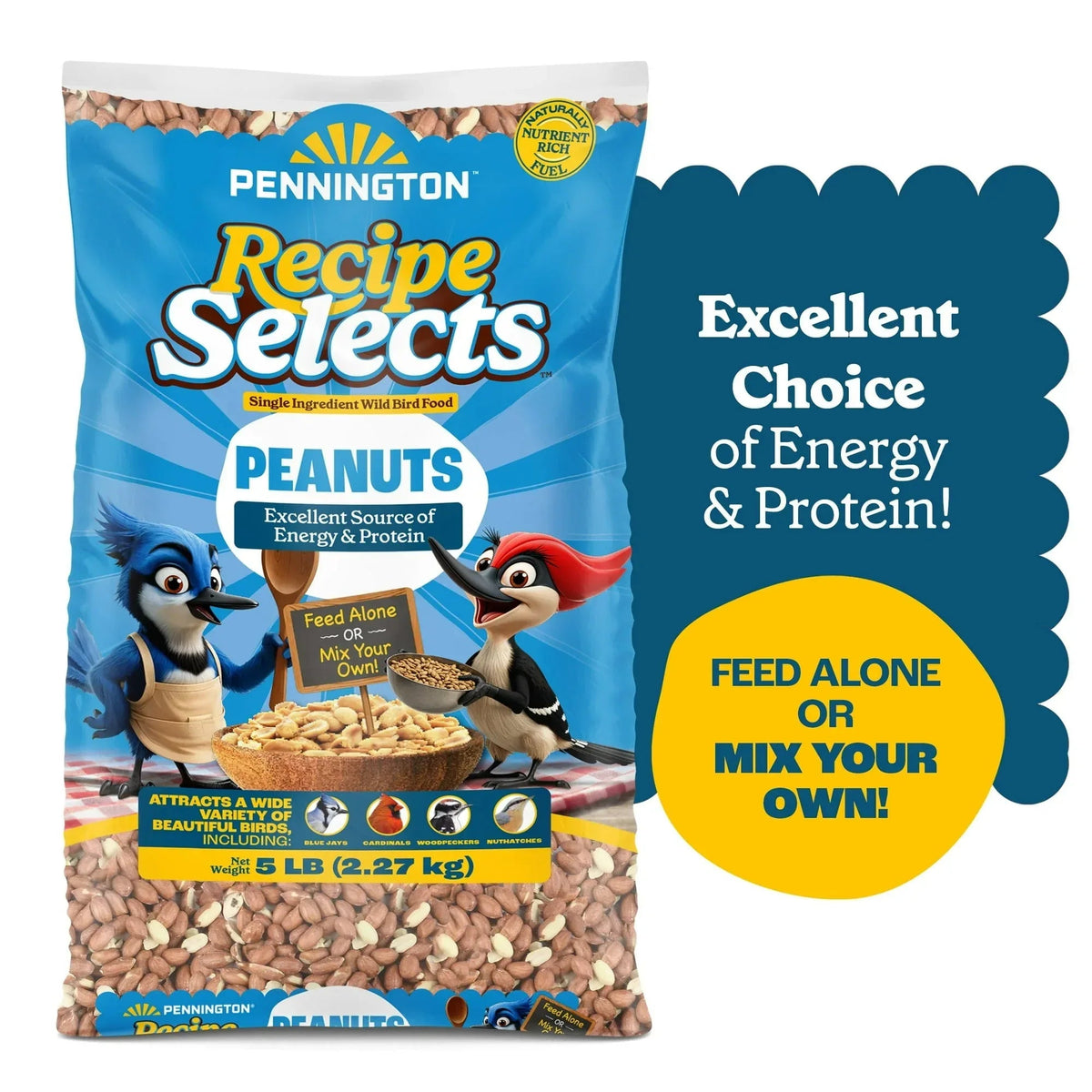 Pennington Recipe Selects Shell Free Whole Peanuts for Birds and Wildlife, Wild Bird Food, 5 lb Bag, Dry