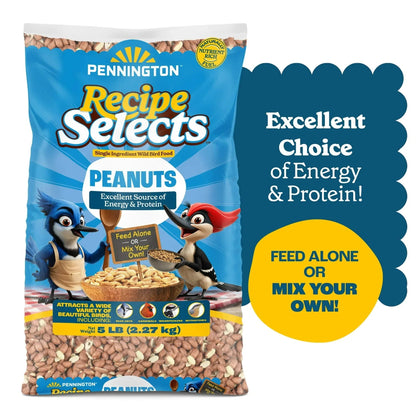 Pennington Recipe Selects Shell Free Whole Peanuts for Birds and Wildlife, Wild Bird Food, 5 lb Bag, Dry