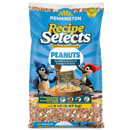 Pennington Recipe Selects Shell Free Whole Peanuts for Birds and Wildlife, Wild Bird Food, 5 lb Bag, Dry