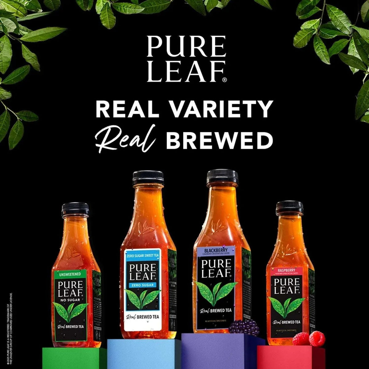 Pure Leaf Real Brewed Tea Raspberry Pack, 16.9 fl. oz., 18 pk.
