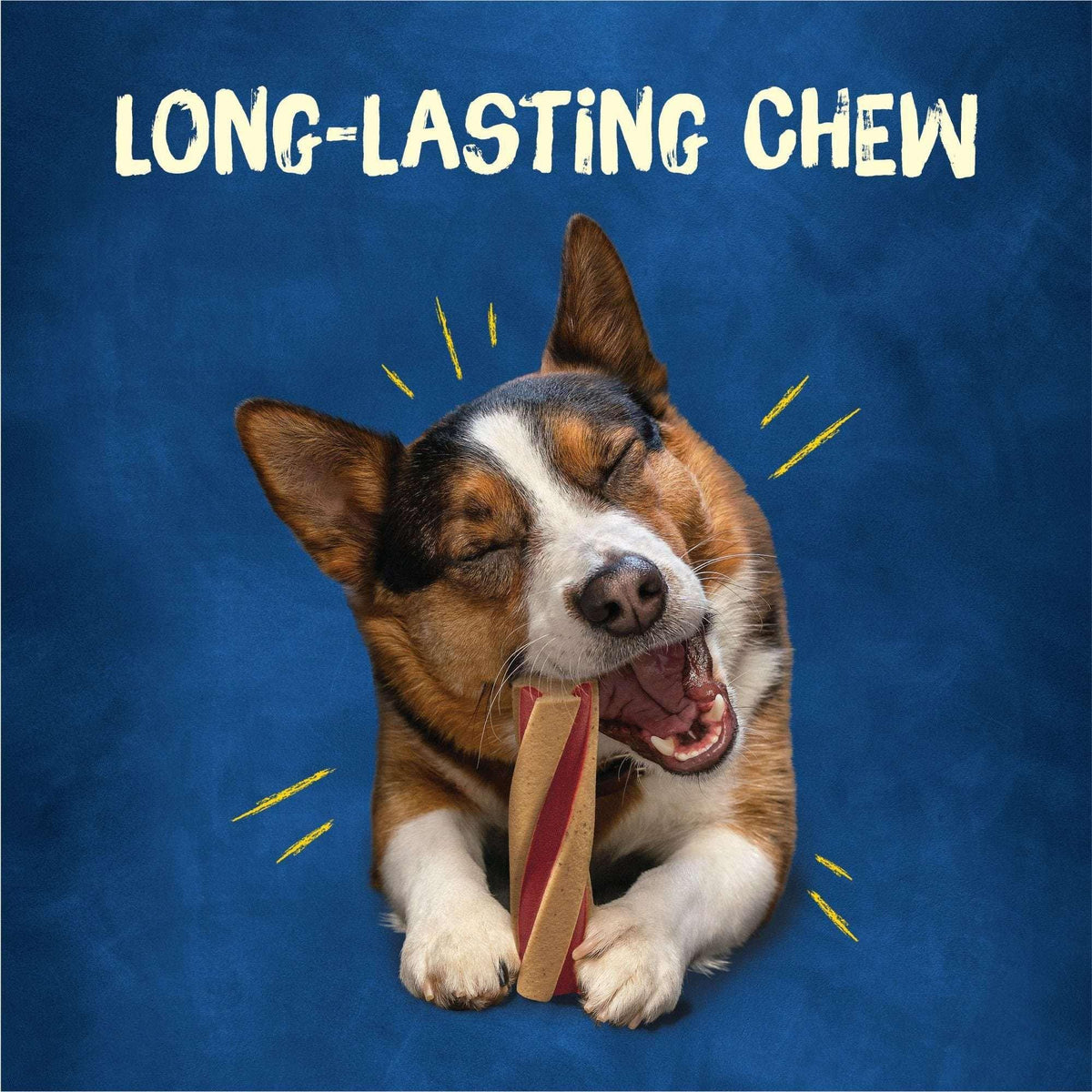 Purina Busy with Beggin’ Twist’d Adult Dog Chew Bone Treats - 18 ct. Pouch