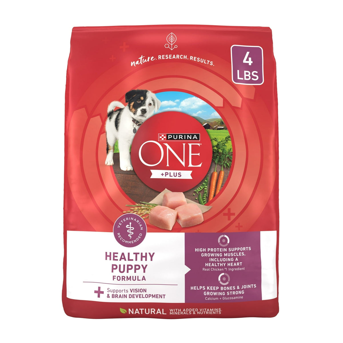 Purina ONE Plus Healthy Puppy Dry Dog Food, High Protein Growth Support with Real Chicken