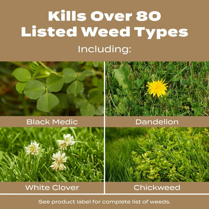 Scotts Turf Builder Weed & Feed for Texas Lawns, Weed Killer Plus Lawn Fertilizer, 22.40 lbs.