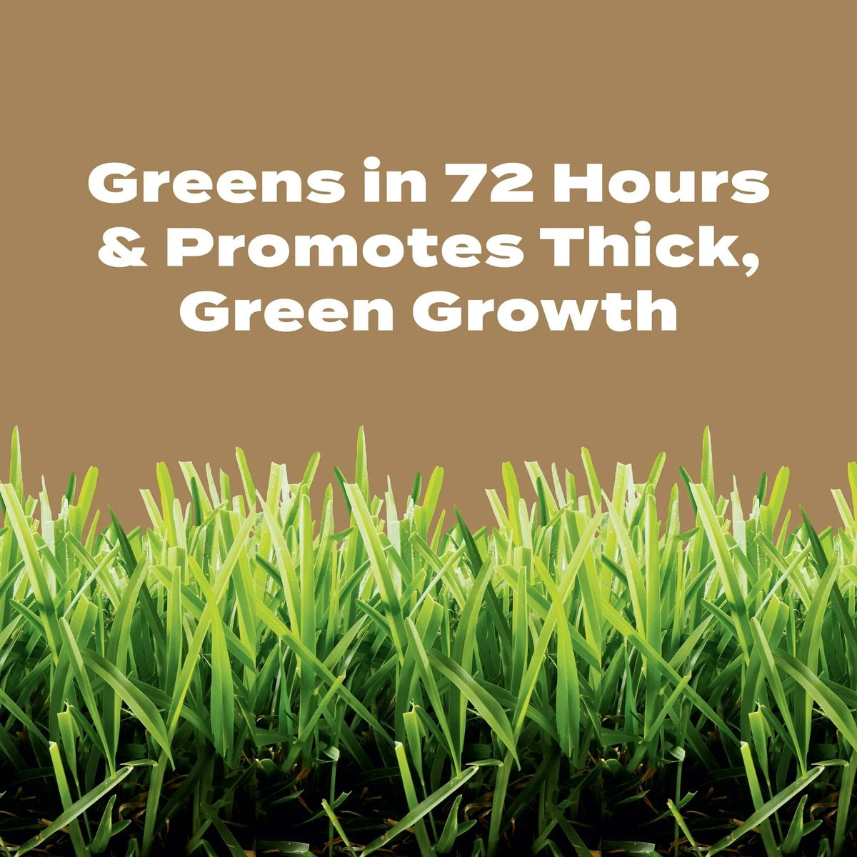 Scotts Turf Builder Weed & Feed for Texas Lawns, Weed Killer Plus Lawn Fertilizer, 22.40 lbs.