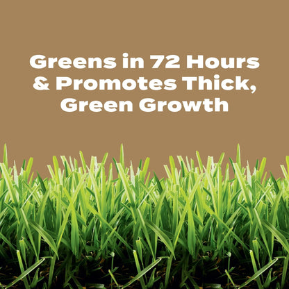 Scotts Turf Builder Weed & Feed for Texas Lawns, Weed Killer Plus Lawn Fertilizer, 22.40 lbs.