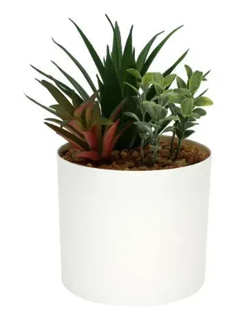 Mainstays 6.8” Artificial Mixed Succulent Plants in White Planter Pot