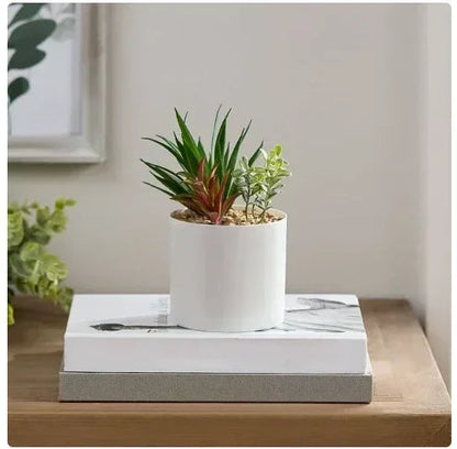 Mainstays 6.8” Artificial Mixed Succulent Plants in White Planter Pot