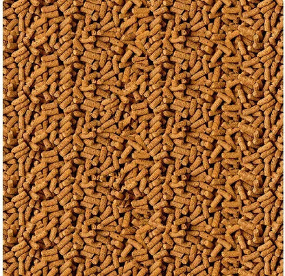 TetraPond Spring And Fall Diet 1.72 Pounds, Pond Fish Food, For Goldfish And Koi