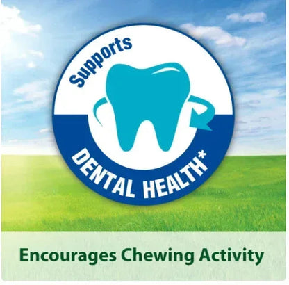 Kaytee Forti-Diet Timothy Treat Chew-A-Bowl for Small Animals