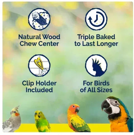 Vitakraft Crunch Sticks Cockatiel Treat - Apricot and Peach - Pet Bird Treat Toy - 2 Sticks