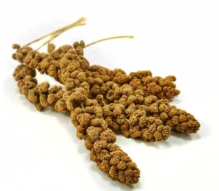 Kaytee Spray Millet Treat for Pet Birds, 5 Pound