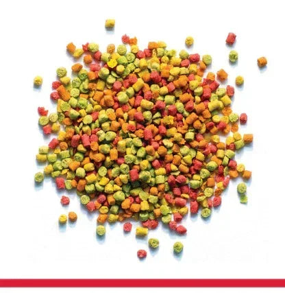 Zupreem® Fruitblend® Daily Bird Food Pellets for Small Birds 14oz