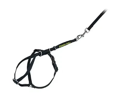 Premier Pet Cat Harness & Leash - Medium