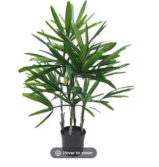 Winward Potted Rhapis Palm Plant Decorative Artificial Plant