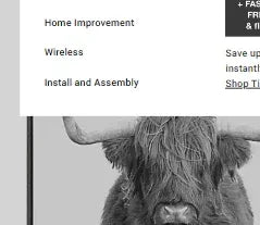 Kate and Laurel Sylvie B&W Highland Cow No. 1 Portrait Framed Canvas Wall Art by Amy Peterson, 28x38 Gray