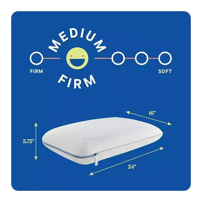 Sealy Dreamlife Memory Foam Gel Standard Size Pillow
