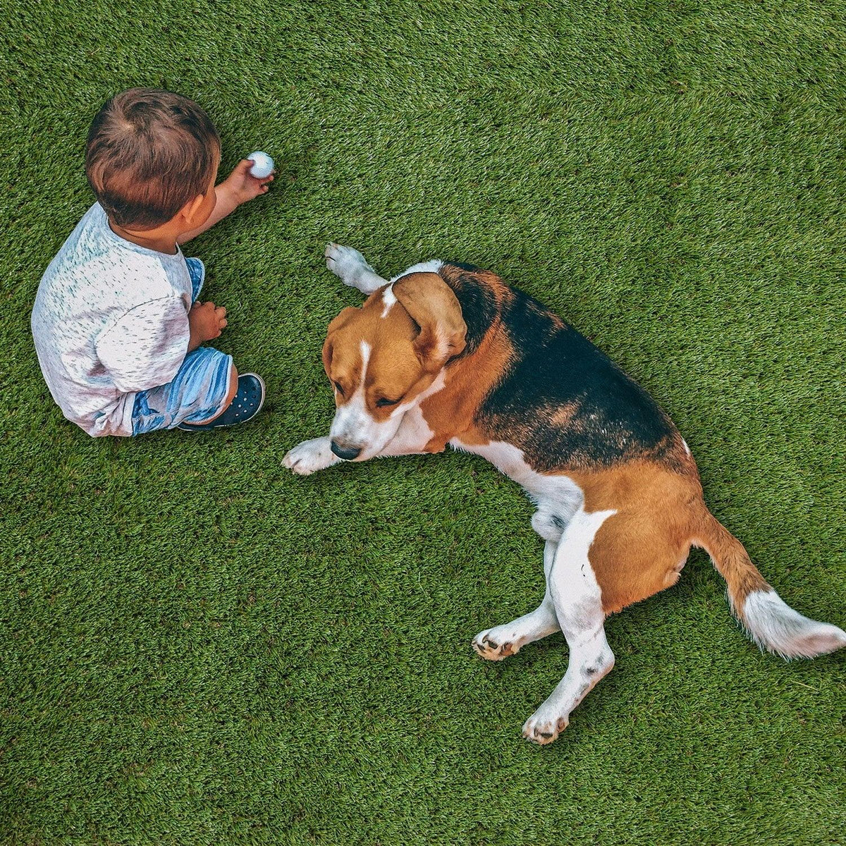 Select Surfaces Evergreen Artificial Grass Roll, Choose Size