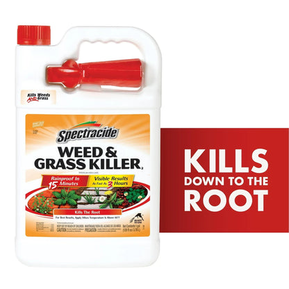 Spectracide Weed & Grass Killer, Use on Patios, Walkways and Driveways, 1 gal.