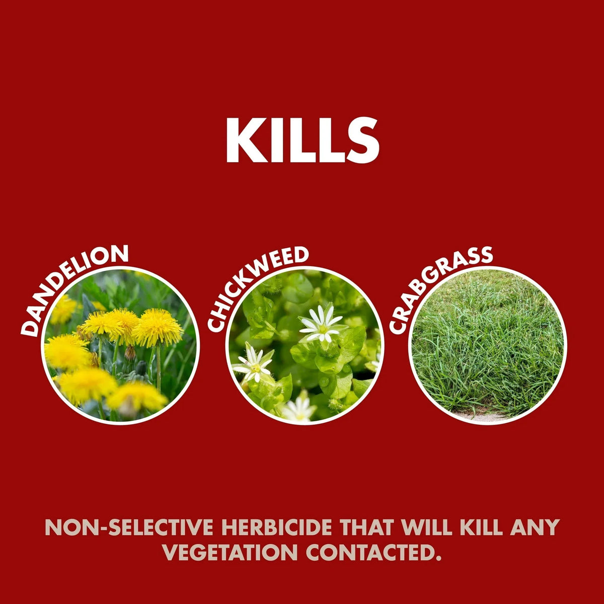 Spectracide Weed & Grass Killer, Use on Patios, Walkways and Driveways, 1 gal.