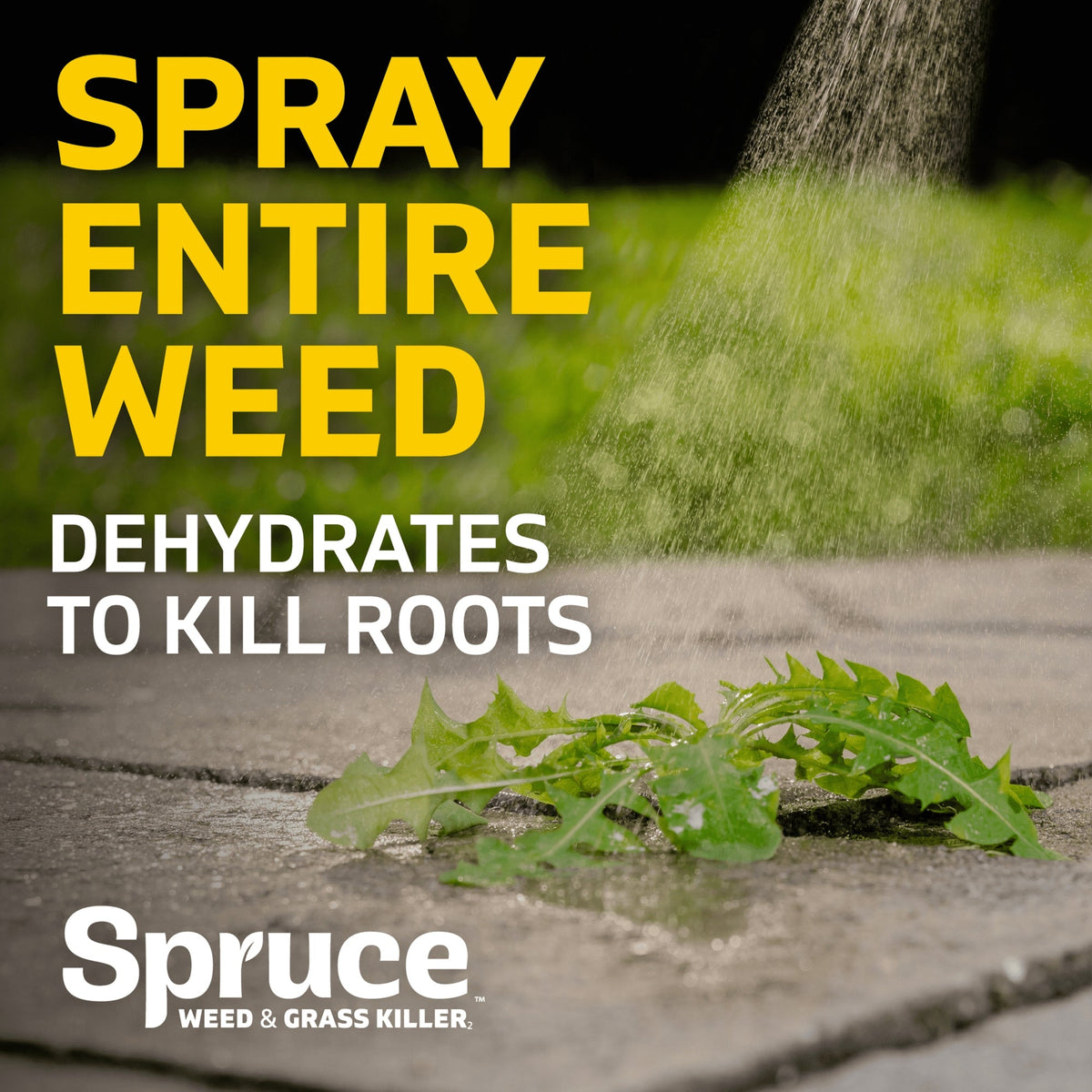 Spruce Weed and Grass Killer Power Spray Starter Kit, 64 oz