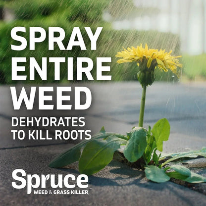 Spruce Weed & Grass Killer Kit, 1 Power Spray Starter Kit and 1 Refill, 64oz x 64oz