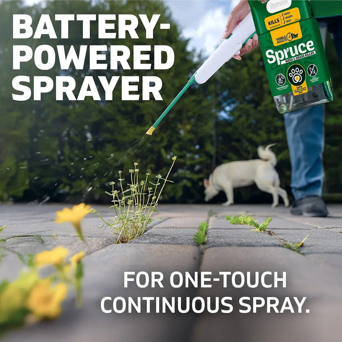 Spruce Weed & Grass Killer Kit, 1 Power Spray Starter Kit and 1 Refill, 64oz x 64oz