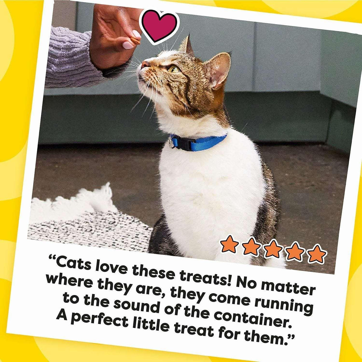TEMPTATIONS Cat Treats Variety Pack with Tasty Chicken Flavor, Catnip Fever, & Surfers' Delight, 16 oz., 3 tubs