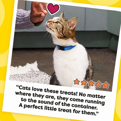 TEMPTATIONS Cat Treats Variety Pack with Tasty Chicken Flavor, Catnip Fever, & Surfers' Delight, 16 oz., 3 tubs