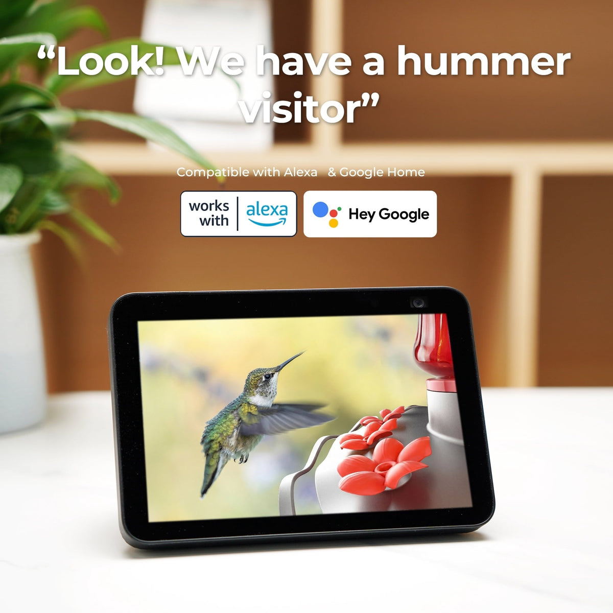 TT Nature Smart Glass Hummingbird Feeder with Camera, 2K HD Video Solar Powered , AI Bird Identification, Ant Moat & Water Monitor, Ideal Gift