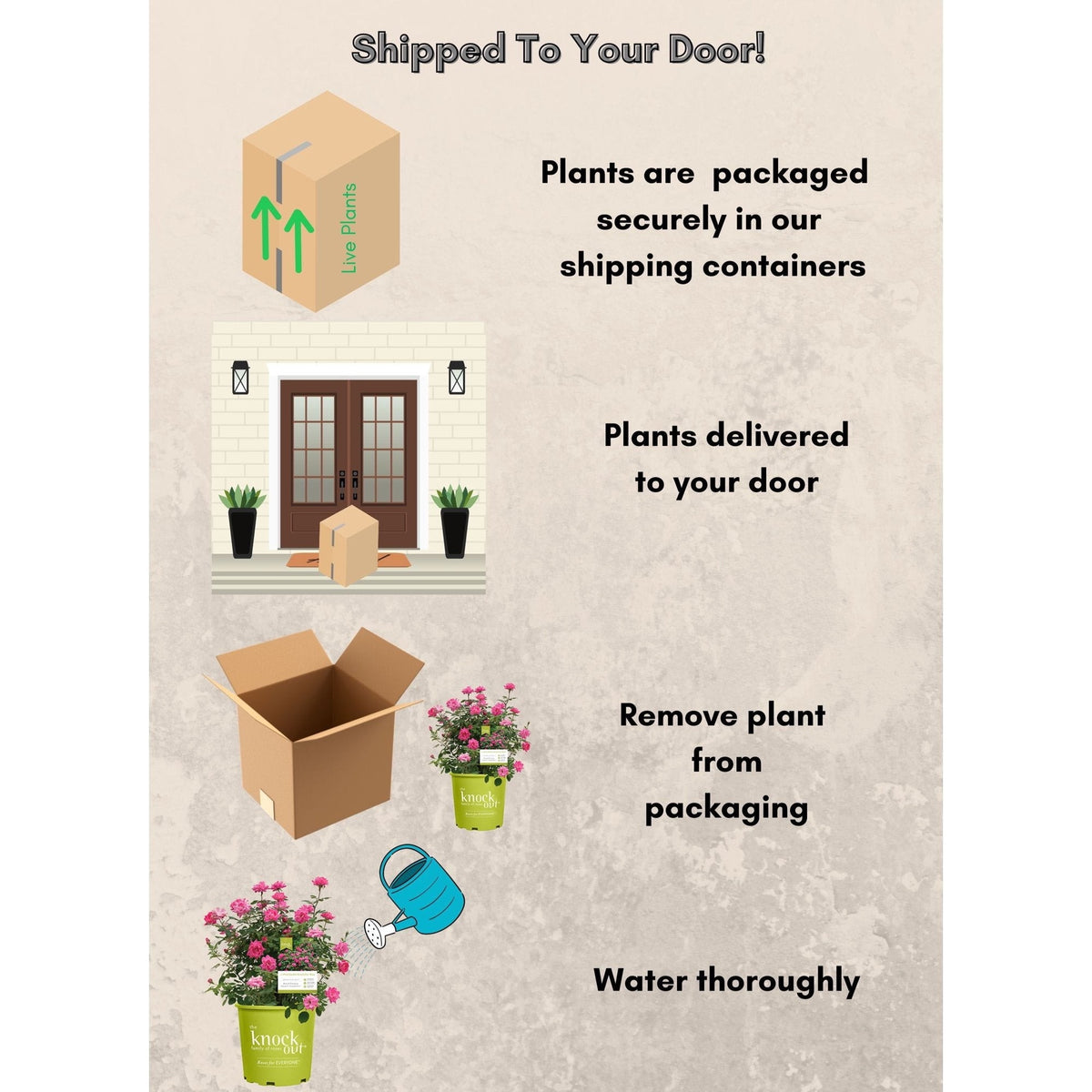 The Knock Out® Family of Roses 'The Pink Double Knock Out® Rose' Live Shrub in Grower Pot