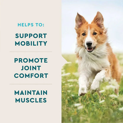 VETIQ Maximum Strength Hip & Joint Soft Dog Chews, Chicken Flavored, 180 ct.