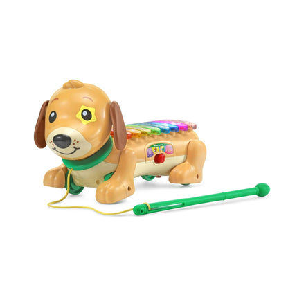 VTech Zoo Jamz Doggy Xylophone with Accessories, Baby and Toddler Toys