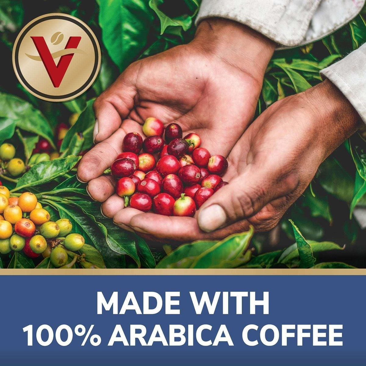 Victor Allen's Coffee Single Serve Cups, French Roast 100 ct.