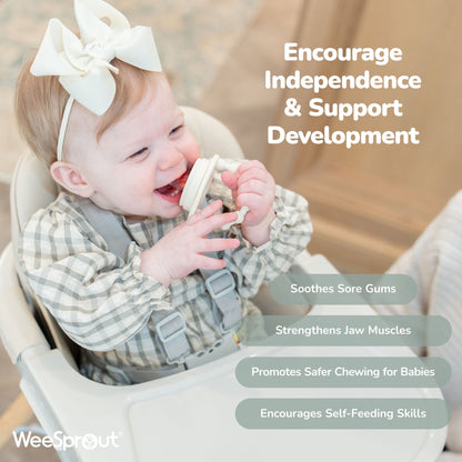 WeeSprout Silicone Baby Feeder Teether Set with Extra Pouches & Freezer Tray