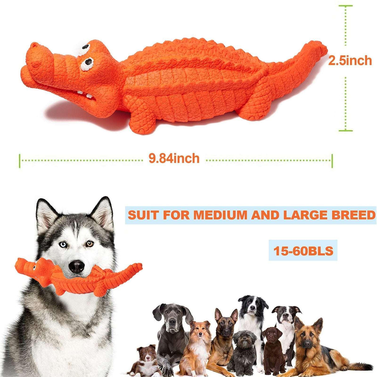 Pet Deluxe Squeaky Dog Toys for Aggressive Chewers, Durable Dog Toys Natural Rubber, Interactive Tough Dog Chew Crocodile Toy Teeth Cleaning for Medium Large Dogs