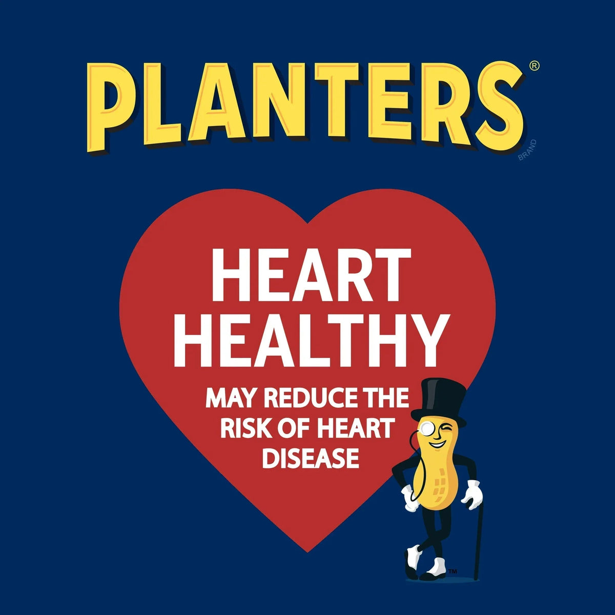PLANTERS Lightly Salted Cashew Halves and Pieces, Party Snacks, Plant-Based Protein, 8 oz Canister
